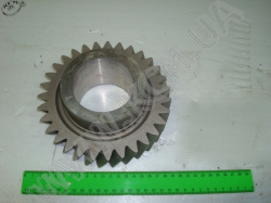 Шестерня 3 пер. валу пром. 239.1701051-10 (Z=31) ЯМЗ