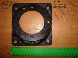 Накладка лів. 6317-3712021