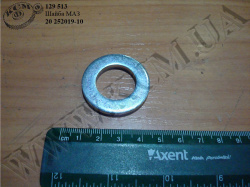 Шайба 20 252019-10 МАЗ