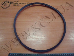 Ремінь генератора 862 (850) Rubena