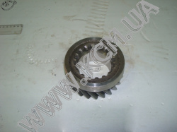 Шестерня 5 пер. валу втор. 236У-1701129 (Z=23. D=120)