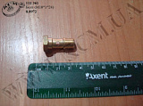 Болт трубки паливної 8.8972 (М10*1*24)
