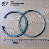 Кільце стопорне к-кт 101-2919032/34